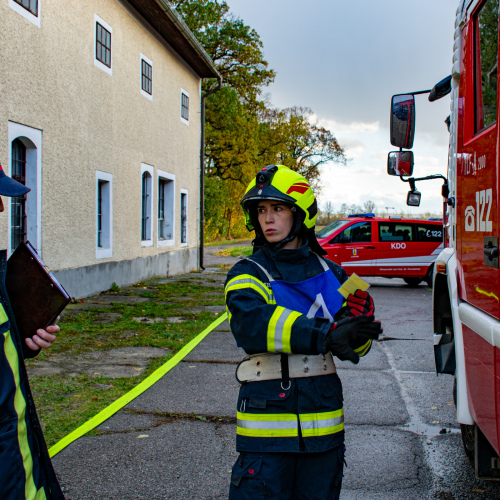 54879061469_a4ed670b37_o 54879061469_a4ed670b37_o