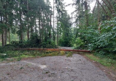 Sturmschäden