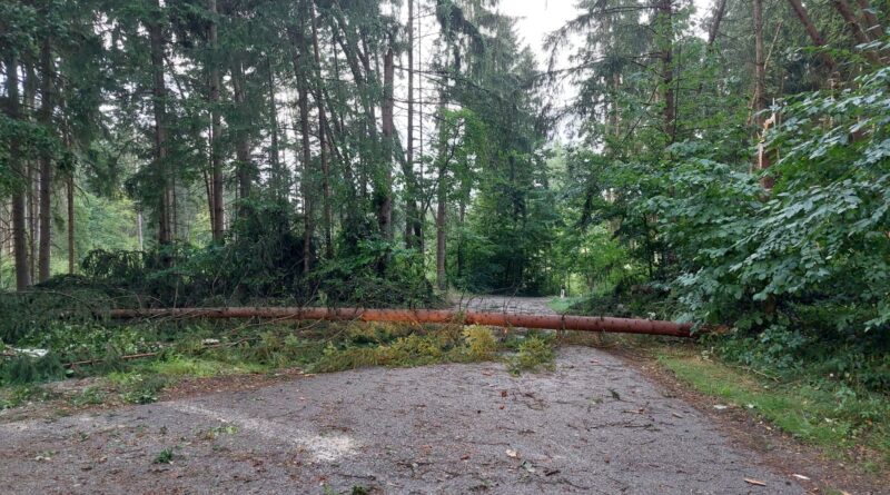 Sturmschäden
