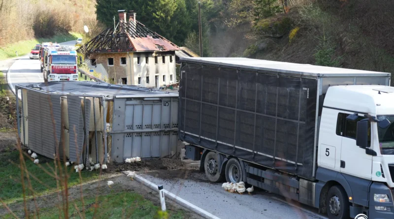 Bergung Tiertransporter