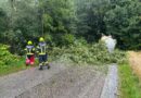 Sturmschaden am 15.07.2025